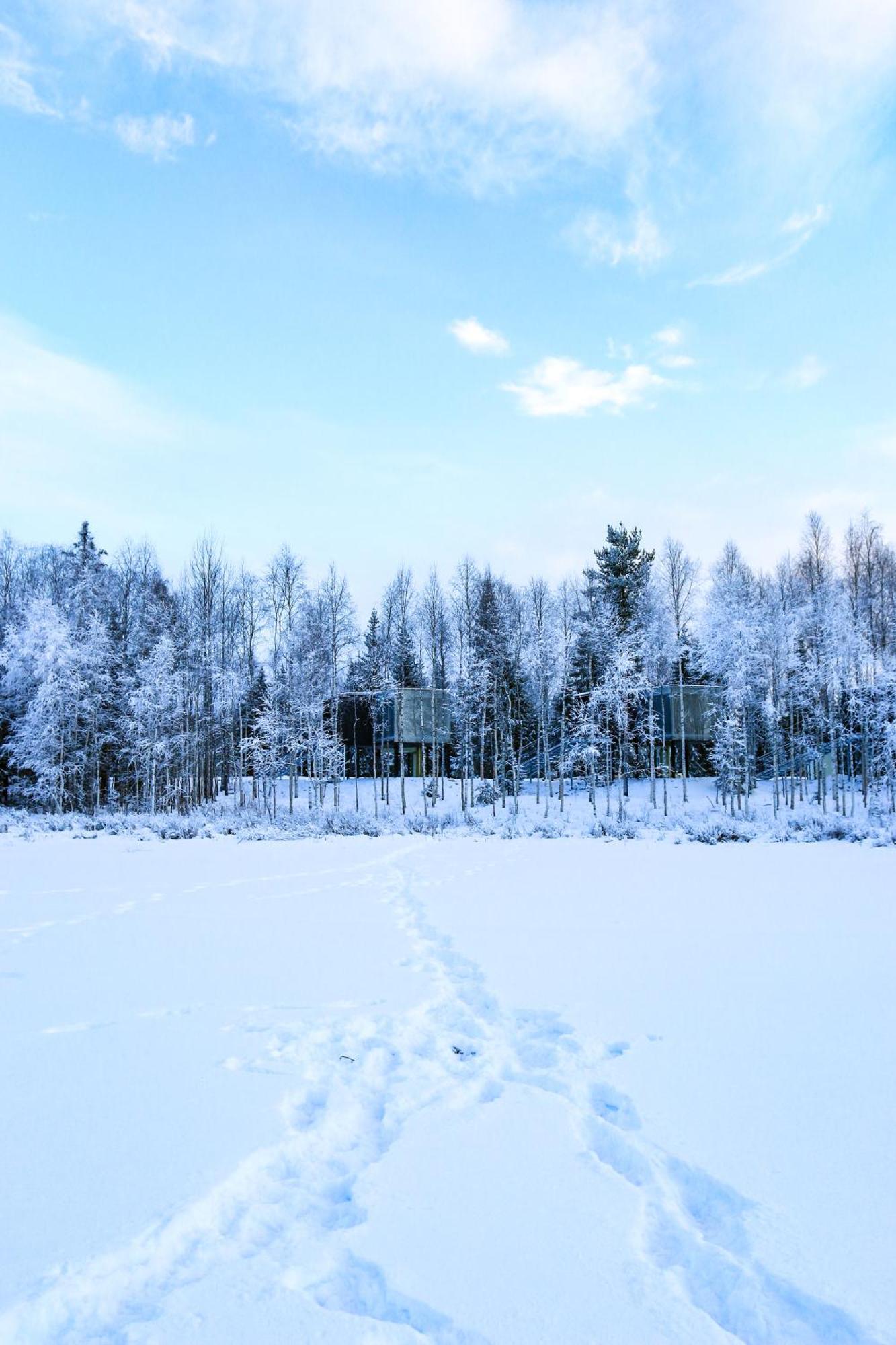 Silver Birch Resort Lapland 로바니에미 외부 사진