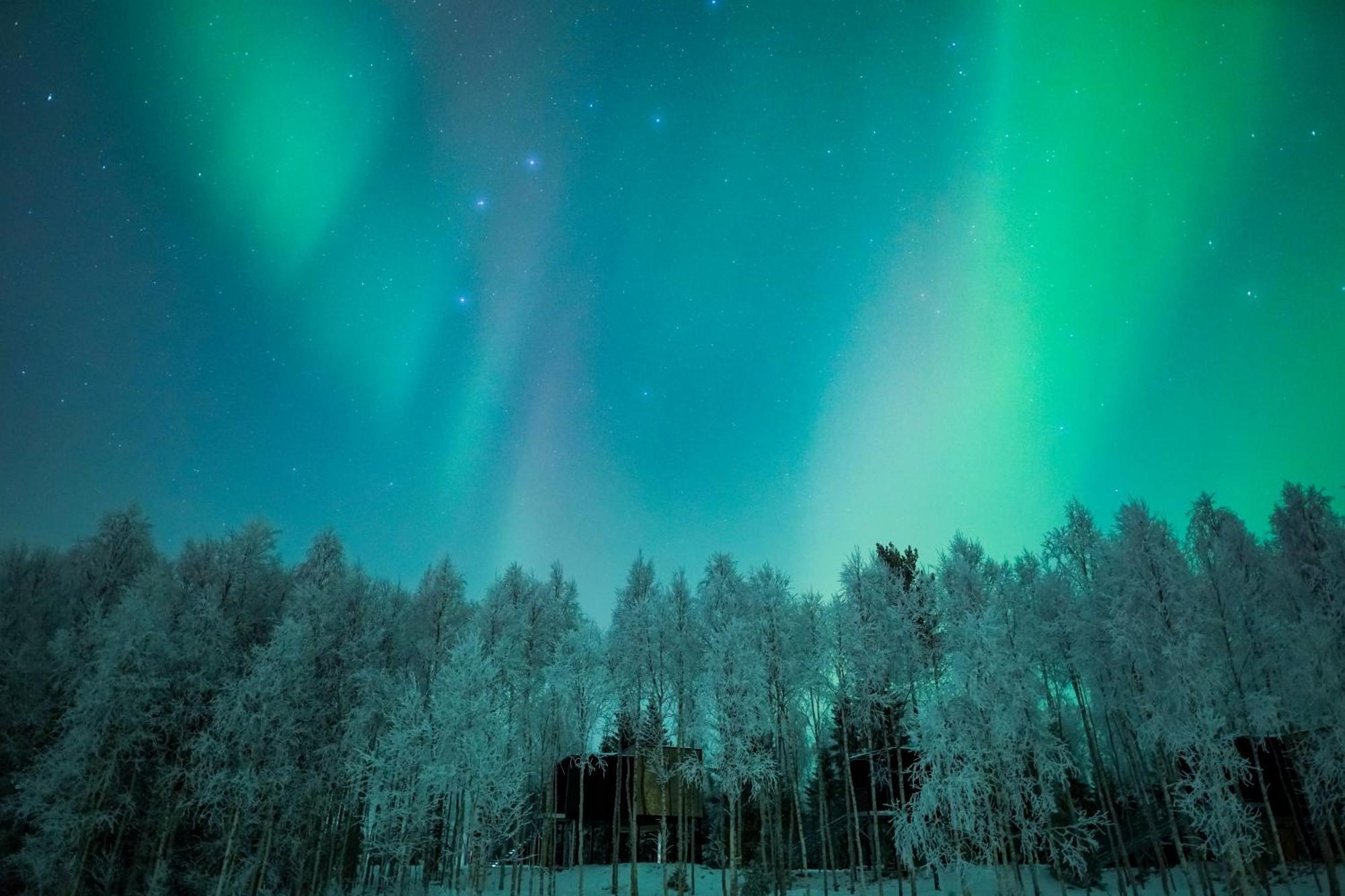 Silver Birch Resort Lapland 로바니에미 외부 사진